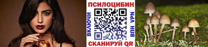 Псилоцибиновые грибы Psilocybe  мега tor  Петушки 